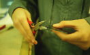 les outils pour la coupe